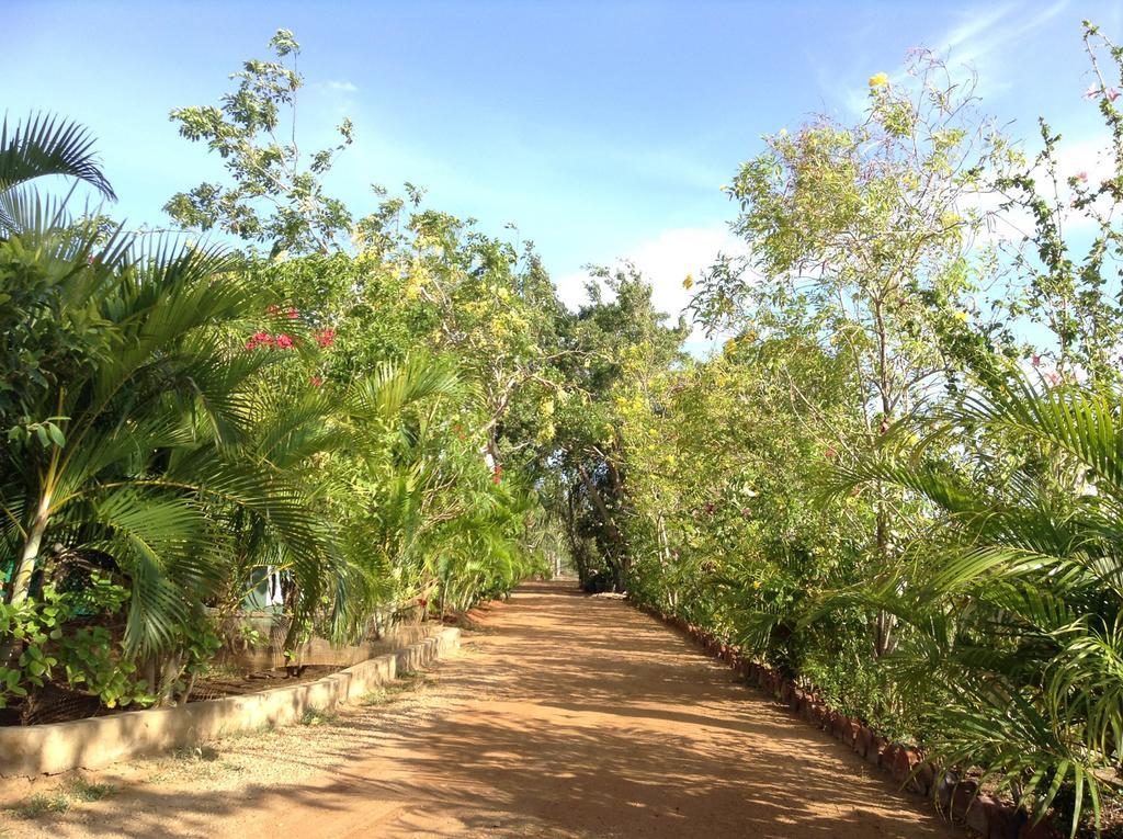 Lagoon Inn Hambantota Luaran gambar