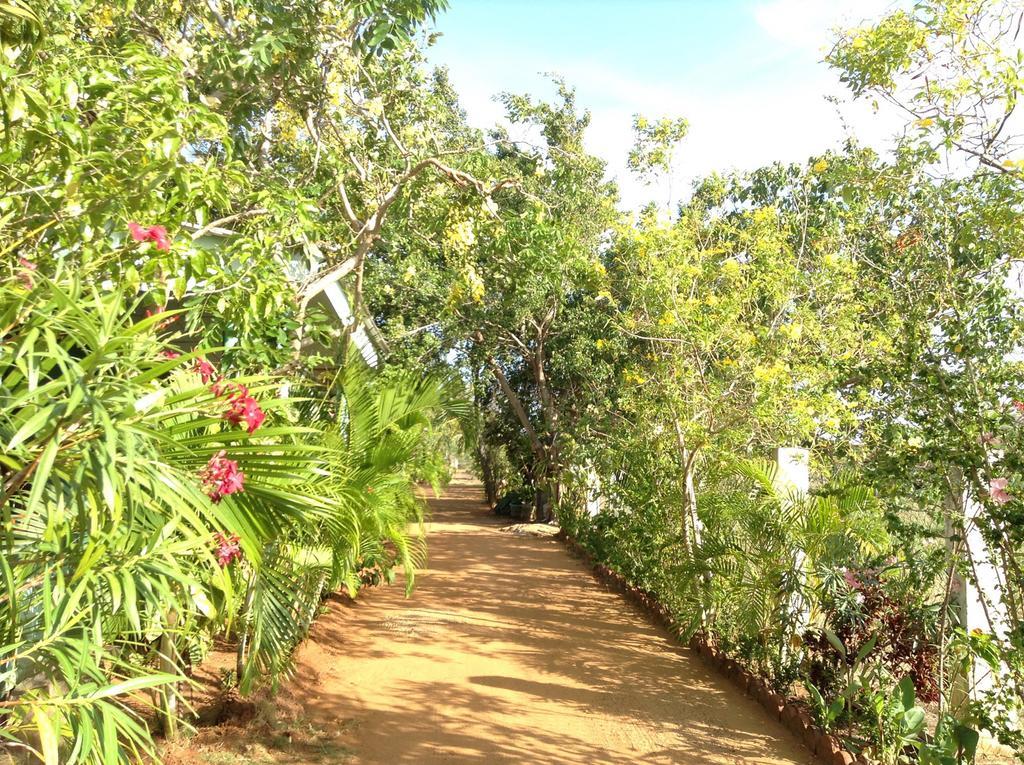 Lagoon Inn Hambantota Luaran gambar