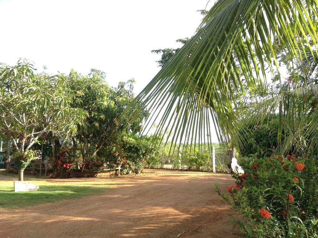 Lagoon Inn Hambantota Luaran gambar