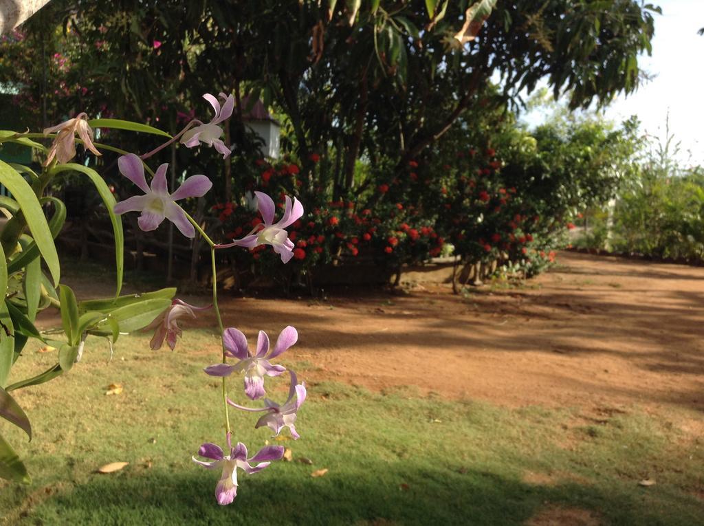 Lagoon Inn Hambantota Luaran gambar